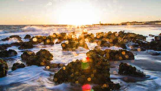 Reformatie in Zeeland, 500 jaar